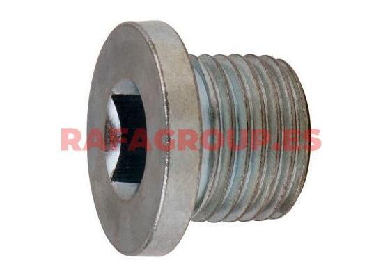 RG0639 - Tapón roscado, carter